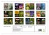Blumenreise 2026 (Wandkalender 2026 DIN... - Bild 6