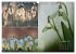 Blumenreise 2026 (Wandkalender 2026 DIN... - Bild 7