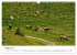 Unterwegs im Allgäu (Wandkalender 2026... - Bild 14