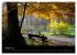Wege 2026 (hochwertiger Premium... - Bild 2