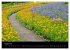 Wege 2026 (hochwertiger Premium... - Bild 13