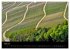 Wege 2026 (hochwertiger Premium... - Bild 10