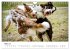 Australian Shepherd - Traum auf vier... - Bild 9