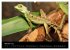 Reptilien 2026 (hochwertiger Premium... - Bild 2