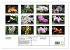 Fotogalerie Fotogalerie