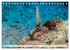 Tauchen im Mittelmeer (Tischkalender... - Bild 2