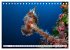 Tauchen im Mittelmeer (Tischkalender... - Bild 8