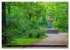 Dresden - Wunderschönes Elbflorenz... - Bild 13