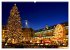 Dresden - Wunderschönes Elbflorenz... - Bild 5