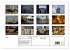 Seoul (hochwertiger Premium... - Bild 5