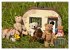 Geliebte Bären - Teddys (hochwertiger... - Bild 11