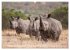 Emotionale Momente: Afrikas Big Five... - Bild 11
