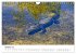 Unter der Sonne Floridas (Wandkalender... - Bild 3