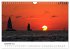 Unter der Sonne Floridas (Wandkalender... - Bild 5