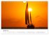 Unter der Sonne Floridas (Wandkalender... - Bild 7