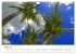 Unter der Sonne Floridas (Wandkalender... - Bild 9