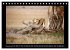 Afrikas Katzen (Tischkalender 2026 DIN... - Bild 5