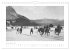 Wintersport und Wettbewerb... - Bild 4