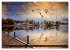 Am Steinhuder Meer (hochwertiger... - Bild 7