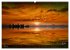 Am Steinhuder Meer (hochwertiger... - Bild 8