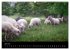 Märchenkulissen II (hochwertiger... - Bild 11
