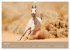 Pferde ¿ Araber im Wüstensand... - Bild 11