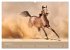 Pferde ¿ Araber im Wüstensand... - Bild 14