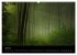 Mysterium Wald (hochwertiger Premium... - Bild 12