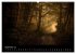 Mysterium Wald (hochwertiger Premium... - Bild 14