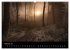 Mysterium Wald (hochwertiger Premium... - Bild 7