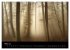 Mysterium Wald (hochwertiger Premium... - Bild 8