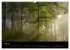 Mysterium Wald (hochwertiger Premium... - Bild 10