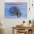 Wald und Baum 2026 (Wandkalender 2026... - Bild 2