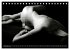 AKT FOTOGRAFIE II (Tischkalender 2026... - Bild 4