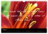 Positiv durch´s Jahr (Wandkalender... - Bild 11