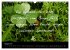 Positiv durch´s Jahr (Wandkalender... - Bild 14