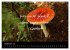 Positiv durch´s Jahr (Wandkalender... - Bild 15