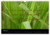 Positiv durch´s Jahr (Wandkalender... - Bild 9