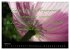 Positiv durch´s Jahr (Wandkalender... - Bild 10