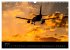 Schönheit der Flugzeuge (Wandkalender... - Bild 13