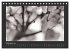 Fotogalerie Fotogalerie