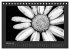 Fotogalerie Fotogalerie