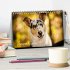 Smooth Collies (Tischkalender 2026 DIN... - Bild 2