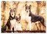 Smooth Collies (Tischkalender 2026 DIN... - Bild 3