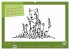 Der kleine GROSSE Wolf - Kalender... - Bild 10