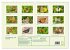 Schmetterlinge: zart und bunt... - Bild 6