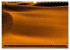 Fotogalerie Fotogalerie