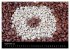 Kaffeezeit (Wandkalender 2026 DIN A2... - Bild 15
