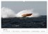 Offshore Powerboats (Wandkalender 2026... - Bild 12