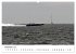 Offshore Powerboats (Wandkalender 2026... - Bild 4